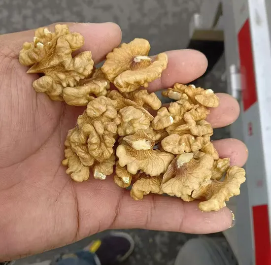 Exportación de nueces, nueces chinas, precio al por mayor