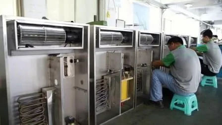 Venta directa de fábrica de nuez de Yunnan