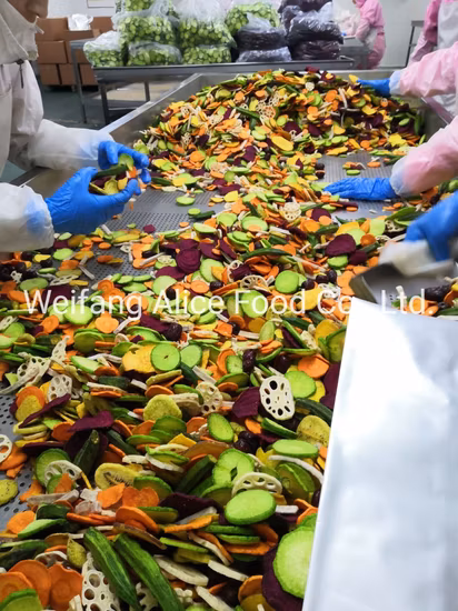 Bocadillos vegetales de buen gusto, chips de raíz de loto fritos al vacío