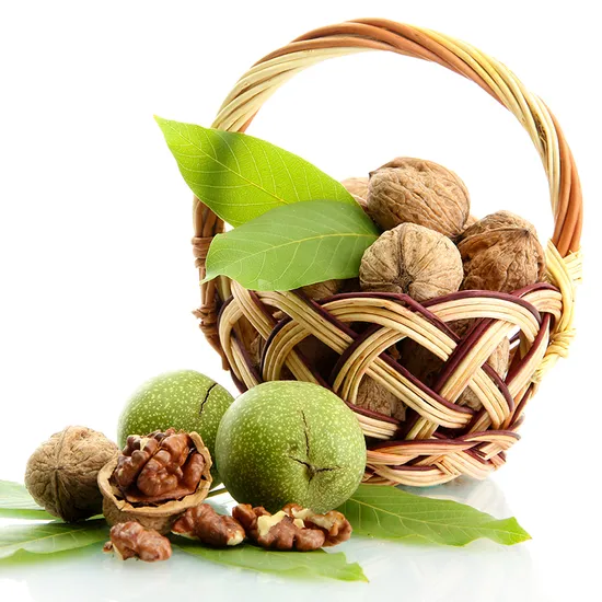 185 Nueces de Nuez Nueces sin Cáscara Extra Light