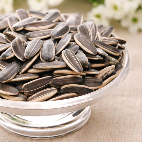 Snack Sabor Salado Semillas Girasol Kuaci